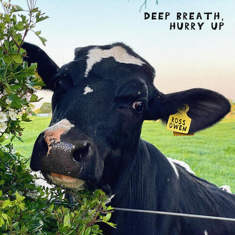 Deep Breath, Hurry Up