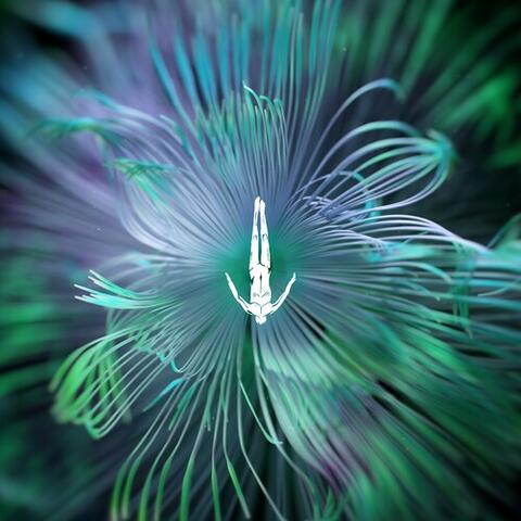 Five Phases-Reflected Wisdom