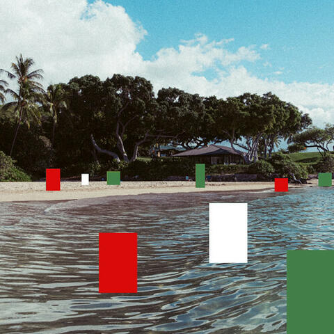 Winter Tropics Christmas