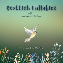 Scottish Lullabies with Sounds of Nature