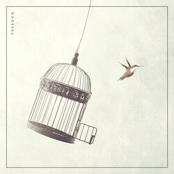 Freedom
