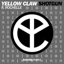 Shotgun