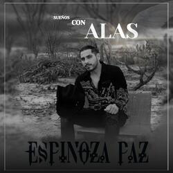 Sueños Con Alas
