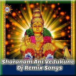 Sharanam Ani Vedukune