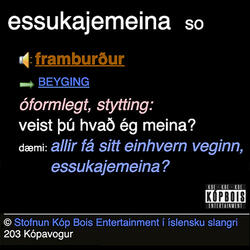 ESSUKAJEMEINA (Veistu Hvað Ég Meina)