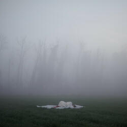 white flag