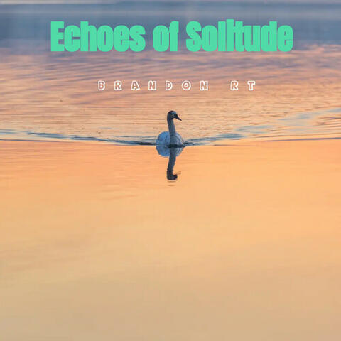 Echoes of Solitude