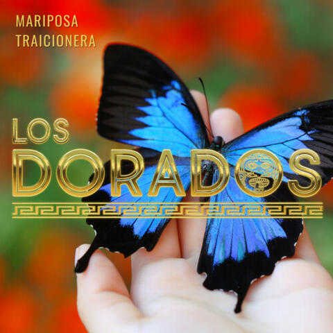 Mariposa Traicionera