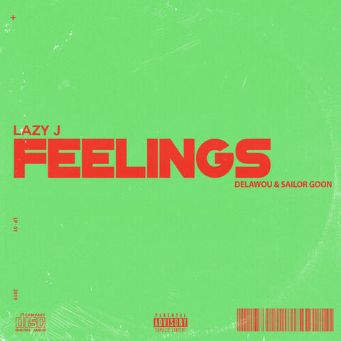 Feelings