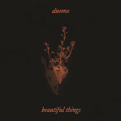 Beautiful Things