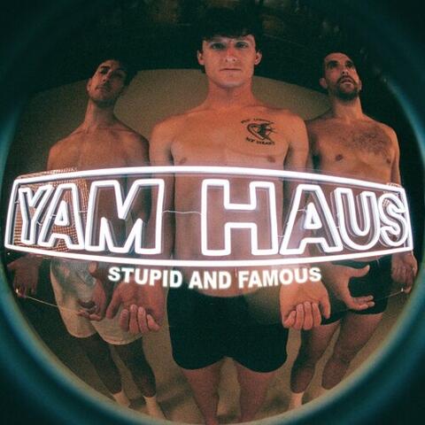 Stupid and Famous