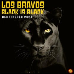 Black is Black