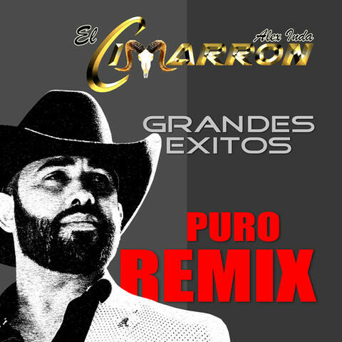 Grandes Exitos Puro
