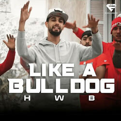 Like a Bulldog