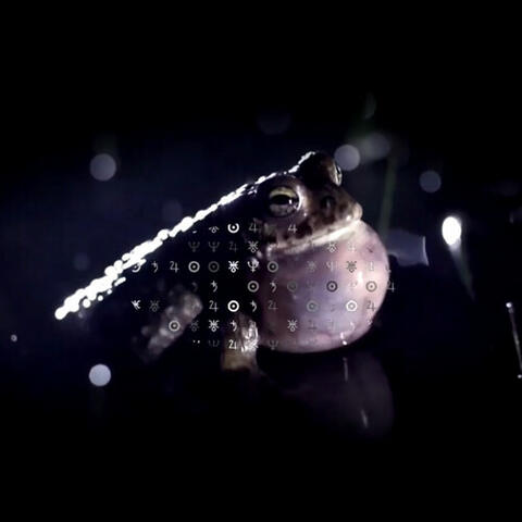 The Jewel Inside the Toads Head