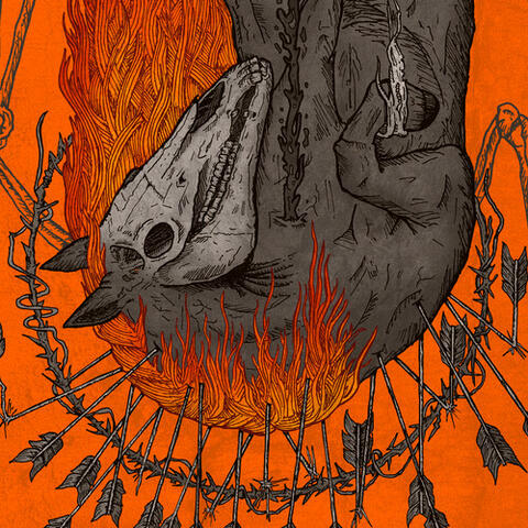 Wounded Animals