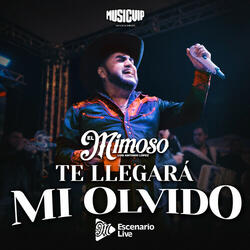 Te Llegará Mi Olvido (En Vivo)