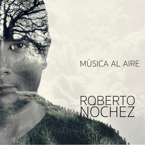 Musica al aire
