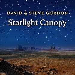 Starlight Canopy
