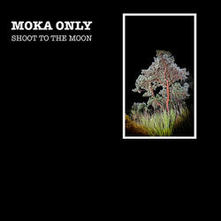 Shoot To The Moon