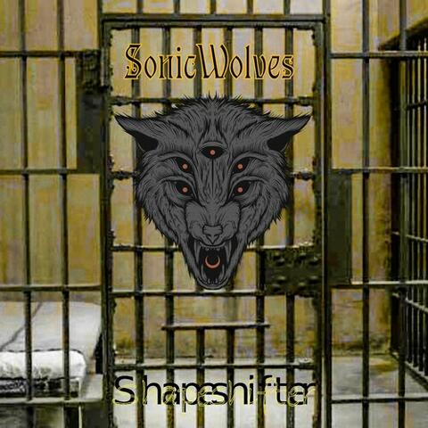 Shapeshifter