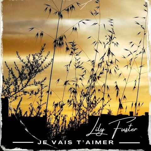 Je Vais T'aimer