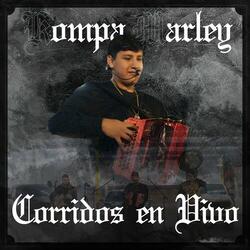 Estoy Pollito