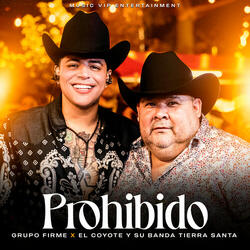 Prohibido (En Vivo)