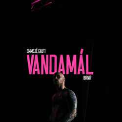Vandamál