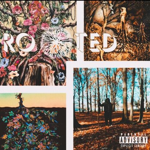 Rooted
