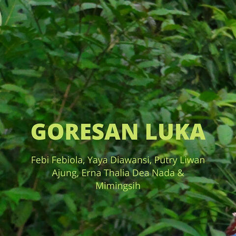 Goresan Luka