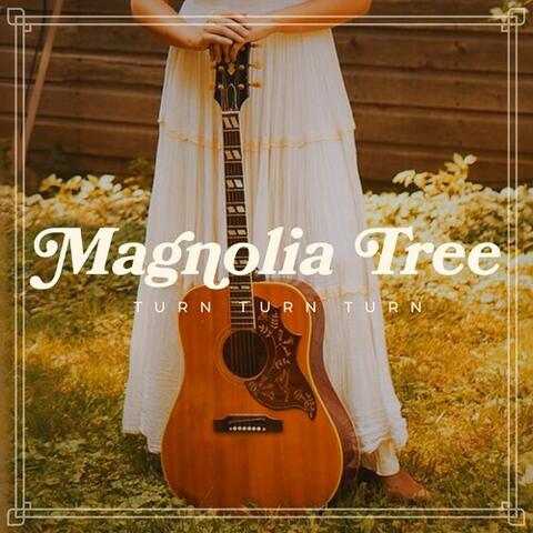 Magnolia Tree