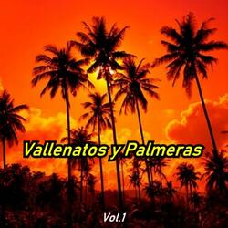 Adiós Vallenata