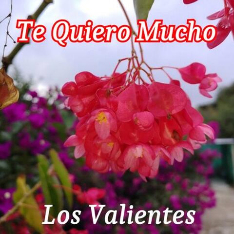 Te Quiero Mucho