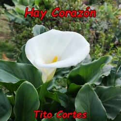 Hay Corazón