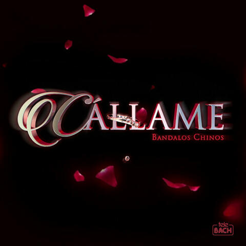 Cállame