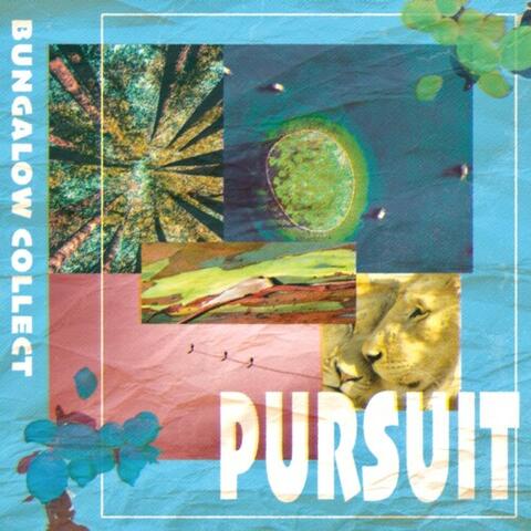Pursuit