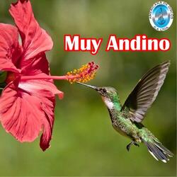 Amor de Mi Madre