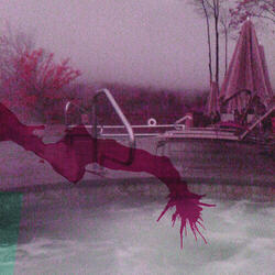 Let My Angst Unfold in the Water Like a Hound's Tongue