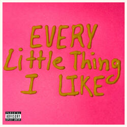 Every Little Thing I Like