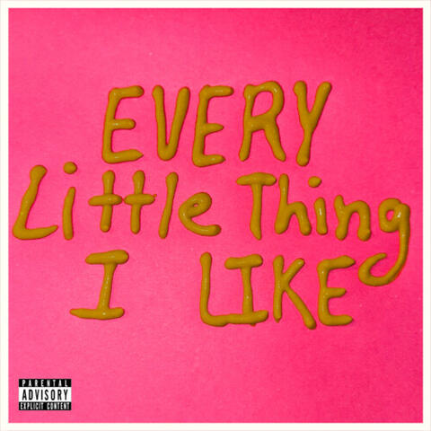 Every Little Thing I Like