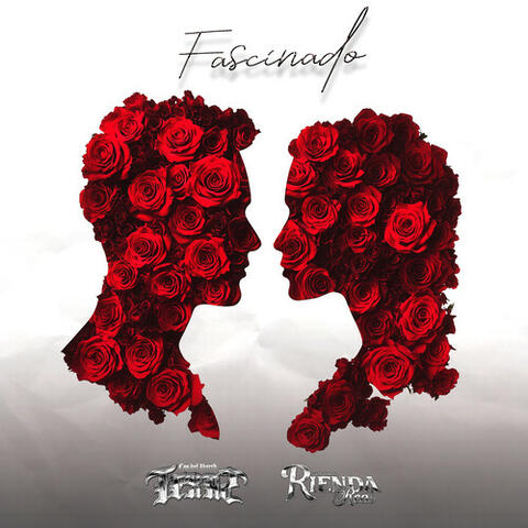 Fascinado