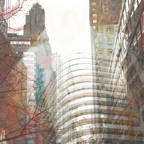 Vertical Cities