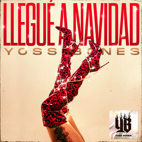Llegué a Navidad