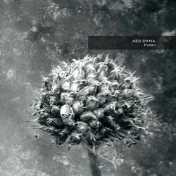 Tree.Some (2017 Remastered)