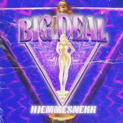 BIG DEAL HJEMMSNEKK