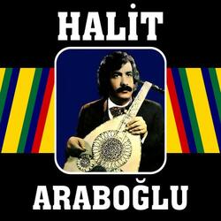 Sevdim Bin Kere Öldüm