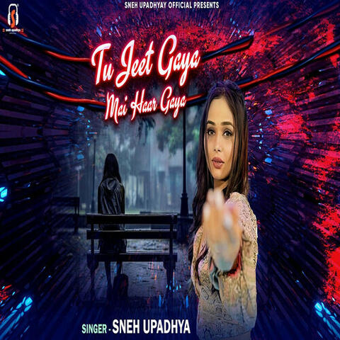 Tu Jeet Gaya Mai Haar Gaya