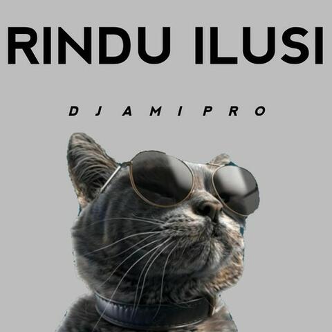 DJ rindu ilusi