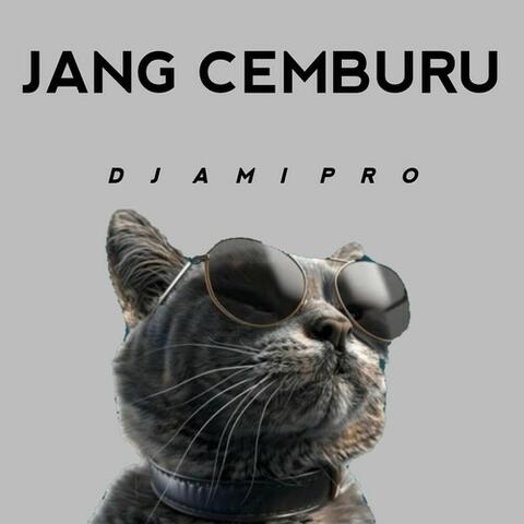 DJ Jang Cemburu